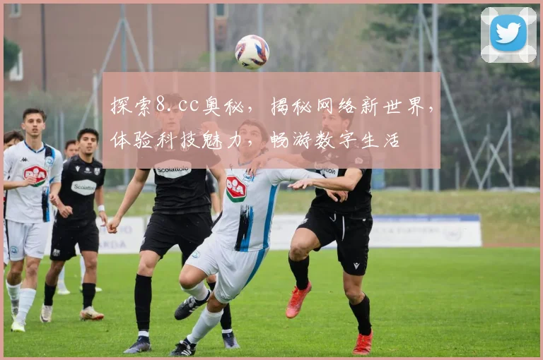 探索8.cc奥秘，揭秘网络新世界，体验科技魅力，畅游数字生活