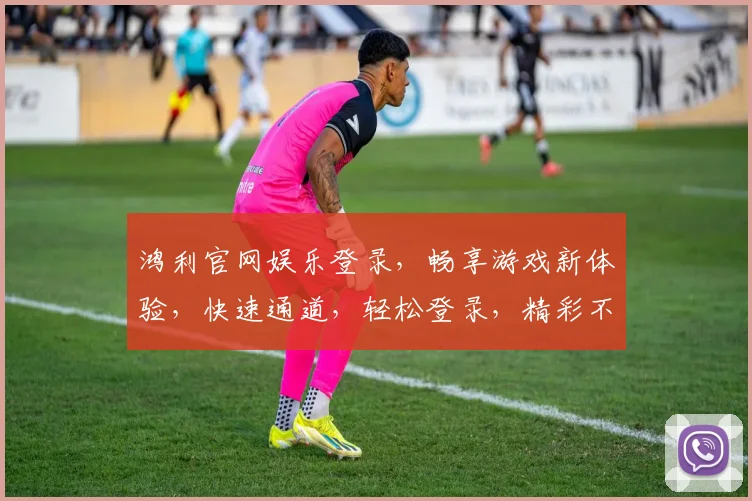 鸿利官网娱乐登录，畅享游戏新体验，快速通道，轻松登录，精彩不断
